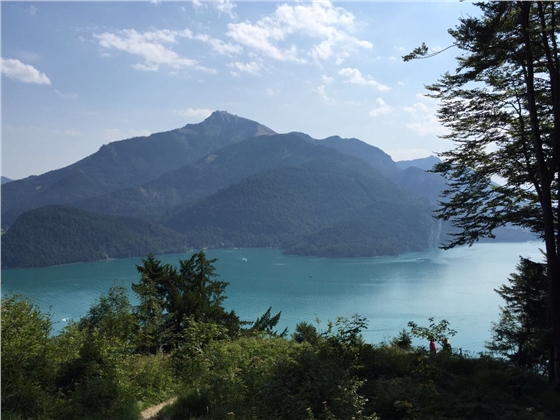 余教授奧地利鄉(xiāng)村行：萬科為什么說把奧地利小鎮(zhèn)搬回來？