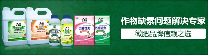 #微肥課堂#為什么葉面肥養(yǎng)分含量相同，效果卻不同？