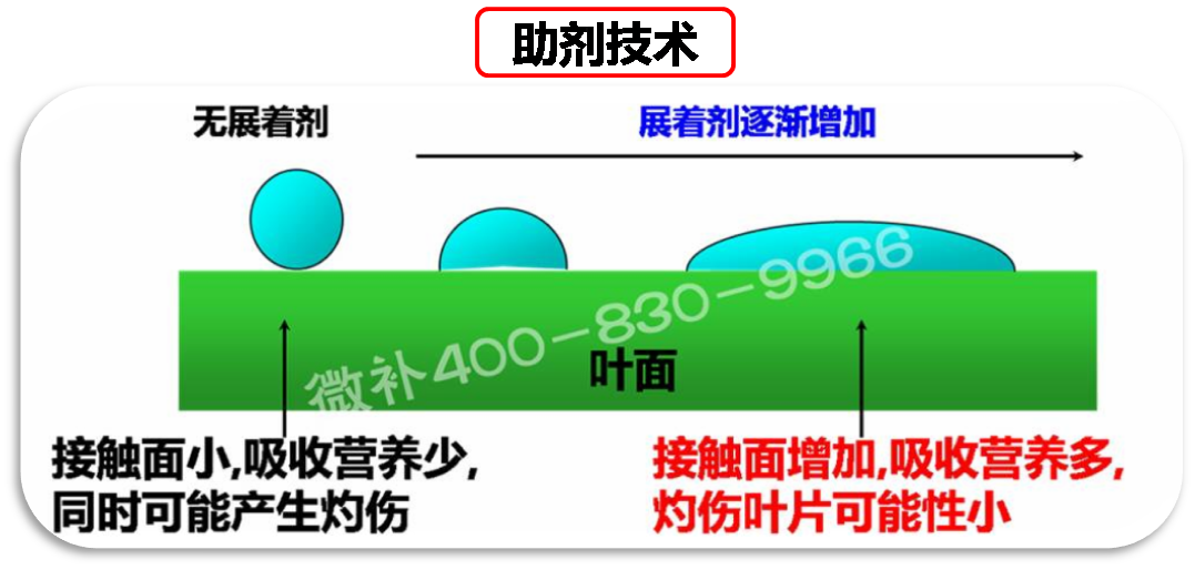 余教授德國鄉(xiāng)村行：我在德國為什么不會點啤酒了？