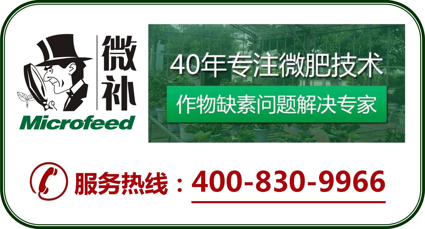 余教授德國(guó)鄉(xiāng)村行：摩澤爾河的葡萄魅力在哪兒？