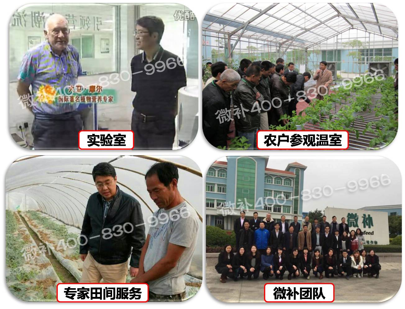 余教授奧地利維也納行：不懂音樂的農(nóng)民教授，在音樂之都的感受