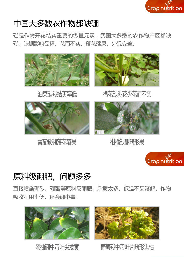 因迪樂有機(jī)海藻硼_02.jpg