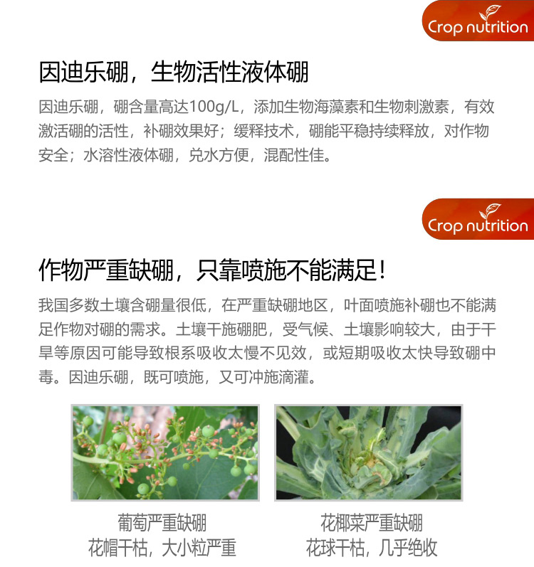 因迪樂有機(jī)海藻硼_03.jpg