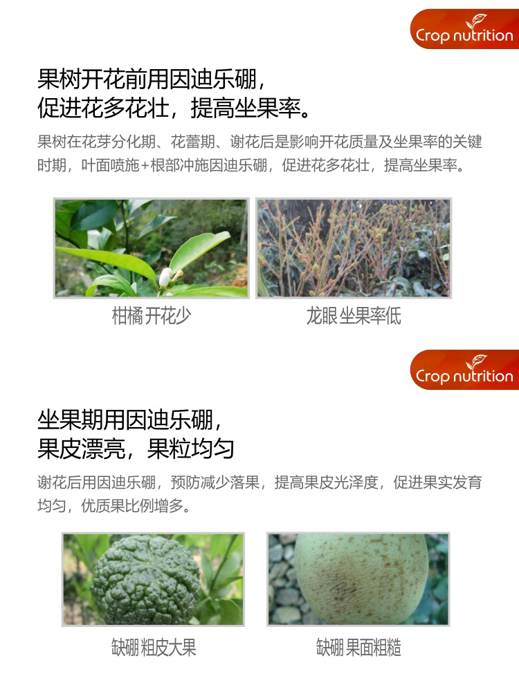 因迪樂有機(jī)海藻硼_04.jpg