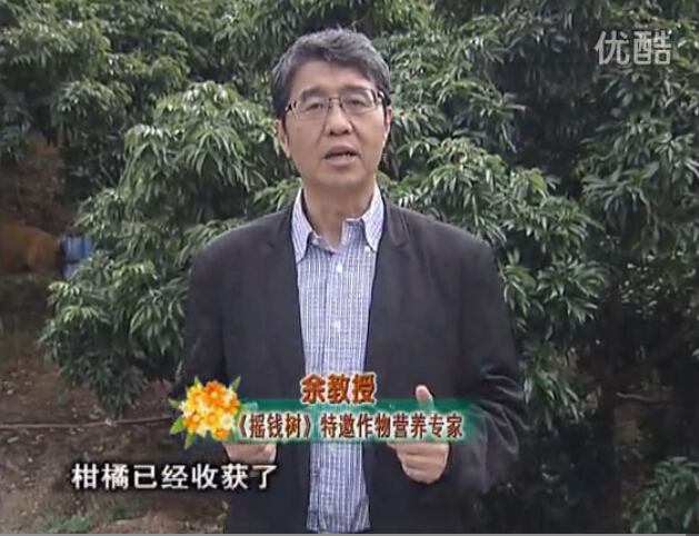 20160104珠江臺搖錢樹：防治柑橘黃樹、減少采后弱樹 撒微補(bǔ)倍力、噴碧力+壯力