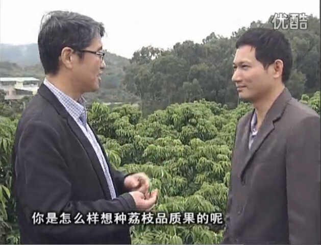 20160104珠江臺搖錢樹：補充所需微補營養(yǎng)，種出品質(zhì)荔枝，提高收益賣價！