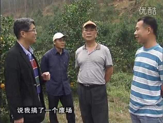 20160118珠江臺搖錢樹：貢柑用微補(bǔ)全年?duì)I養(yǎng)方案，黃樹翻身還高產(chǎn)增果