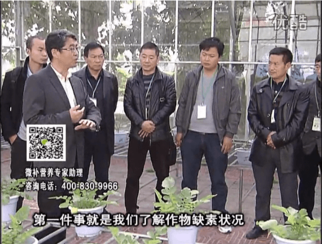 20160418珠江臺(tái)搖錢樹：和重慶種植業(yè)主走進(jìn)微補(bǔ)，探秘微補(bǔ)生產(chǎn)研發(fā)技術(shù)