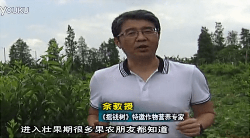 20160620珠江臺(tái)搖錢樹：柑橘淋微補(bǔ)調(diào)力、噴蓋力+壯力，調(diào)酸壯長(zhǎng)勢(shì)、膨果防裂好