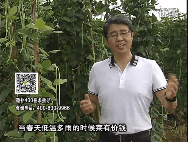 20160704珠江臺(tái)搖錢樹：蔬菜用微補(bǔ)方案，省肥藥又保產(chǎn)