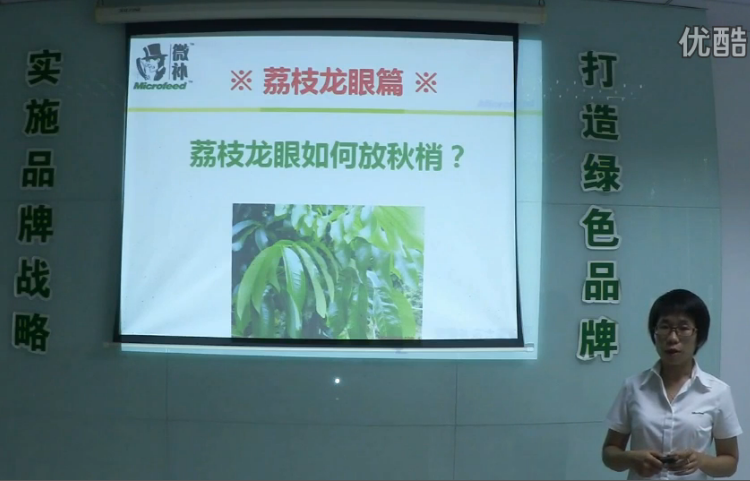 荔枝龍眼-采后樹弱、秋梢不壯怎么辦？請看微補(bǔ)講座