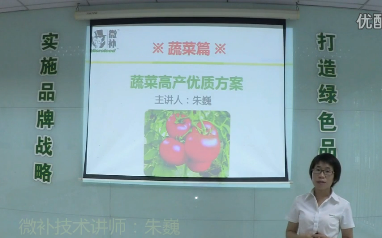 蔬菜-提苗壯長、提高坐果高產(chǎn)方案.微補(bǔ)講座