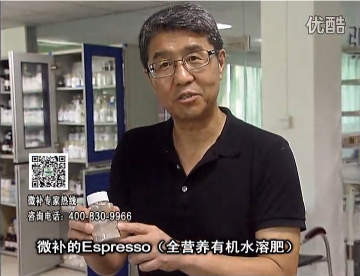 20160822珠江臺(tái)搖錢樹：柑橘秋梢淋沖因迪樂精華粉，補(bǔ)充有機(jī)營(yíng)養(yǎng)，健壯果樹