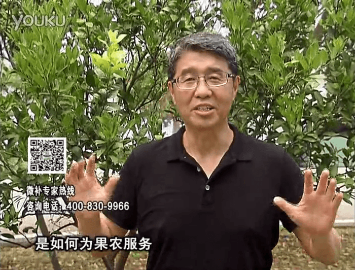 20160912珠江臺搖錢樹：針對果場面積、缺素營養(yǎng)、設施管理、投入產出，微補做個性化定制服務