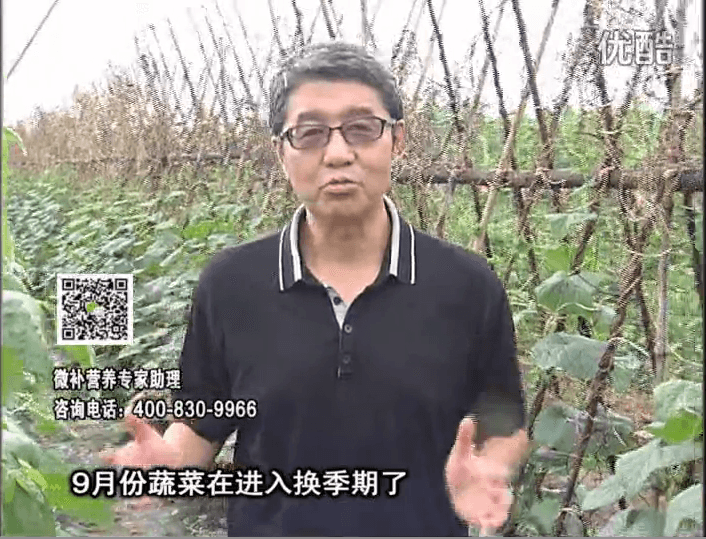 20160926珠江臺(tái)搖錢樹：換季蔬菜淋根力鈣精力促根壯長，淋微補(bǔ)調(diào)力調(diào)酸減少病害