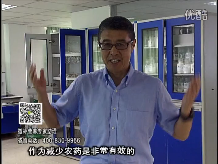 20161024珠江臺搖錢樹：種植作物調酸、平衡營養(yǎng)、提高抗病力能大大降低病害發(fā)生和農藥使用量