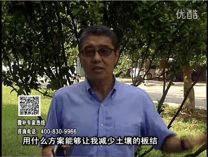 20161031珠江臺搖錢樹：減少化肥使用量、土壤少板結有辦法
